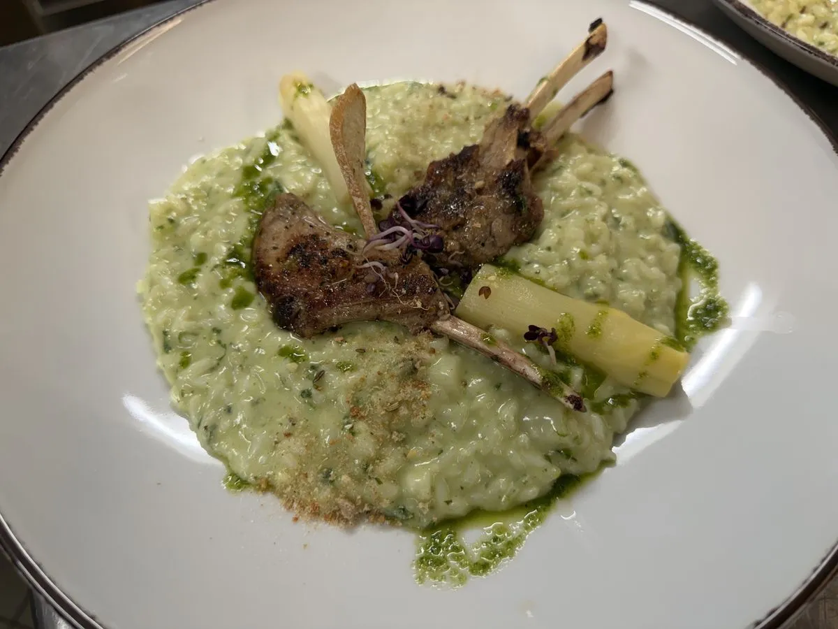 Lammkoteletts auf grünem Risotto mit weißem Spargel